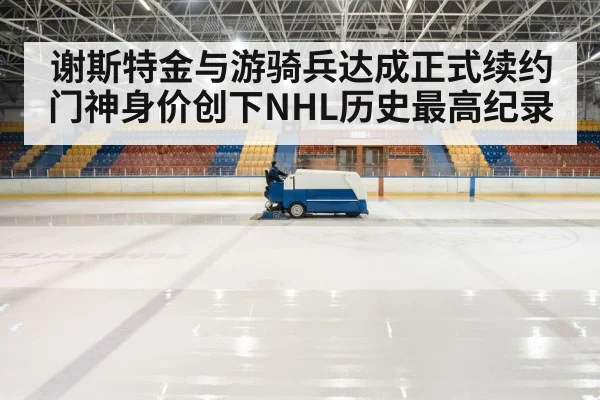 hockey rink