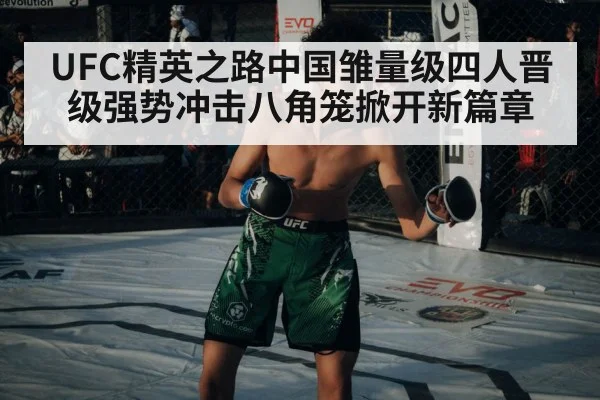 UFC精英之路中国雏量级四人晋级强势冲击八角笼掀开新篇章