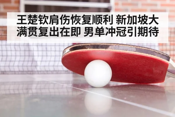王楚钦肩伤恢复顺利 新加坡大满贯复出在即 男单冲冠引期待